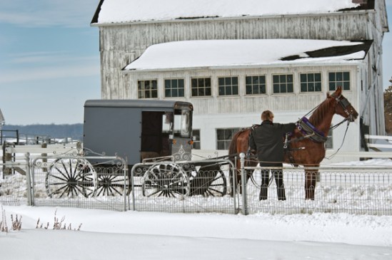 amish-four-wheeling