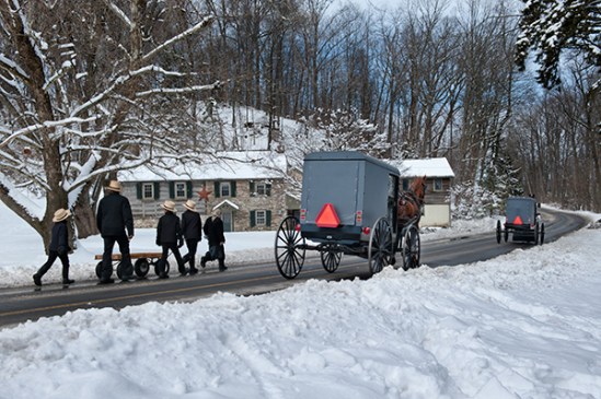 amish-snowy-stroll