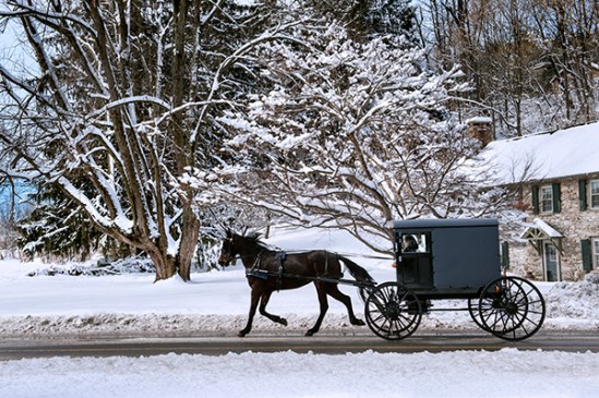 amish-snowy-trip2