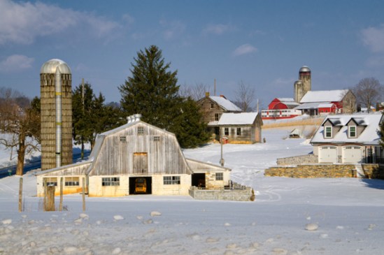 millway-layered-farms