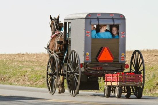 amish-flower-wagon