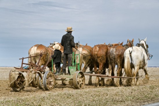 amish-plow-lesson