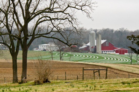 spring-striped-fields