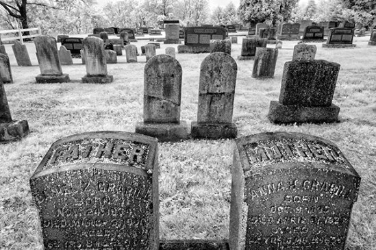 penryn-cemetery-trees4