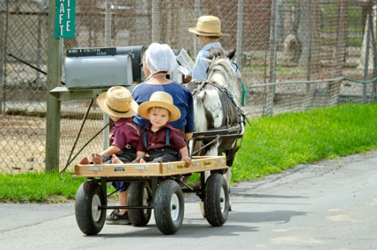 amish-wagon-mail-run
