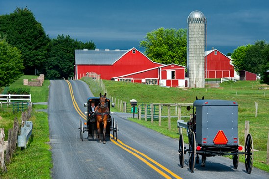 center-square-buggies