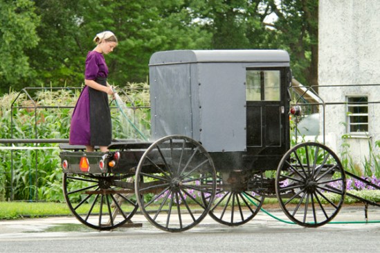 amish-washing-buggy