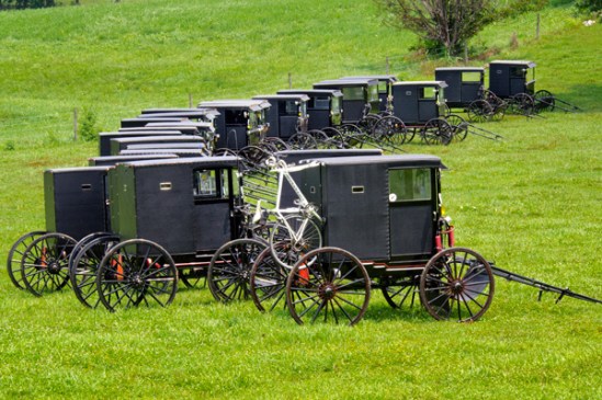 buggies-at-wedding