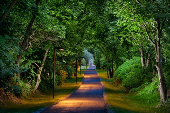 rail-trail-evening-light