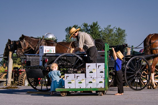 amish-little-helpers
