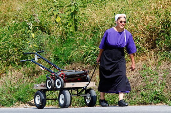 amish-mower-hauler