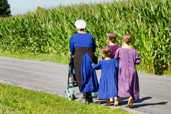 amish-skirt-tugger