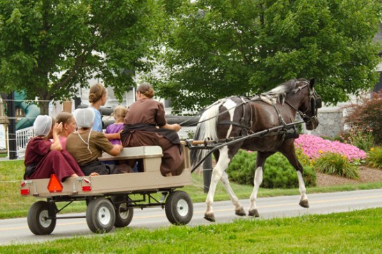 amish-wagon-friends