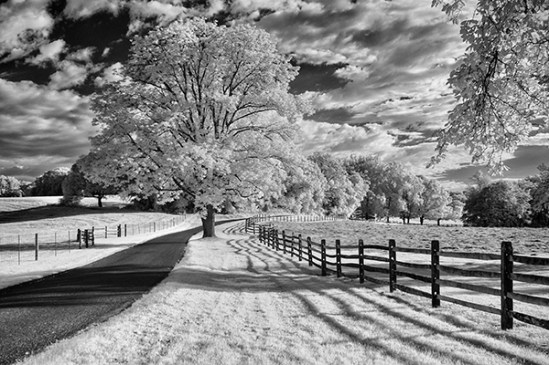 chester-county-infrared