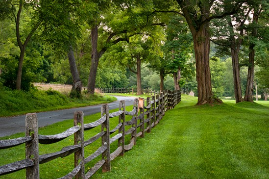 runnymede-road-fence