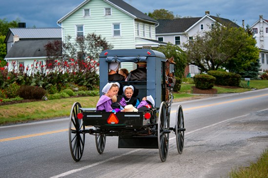 amish-gigglers