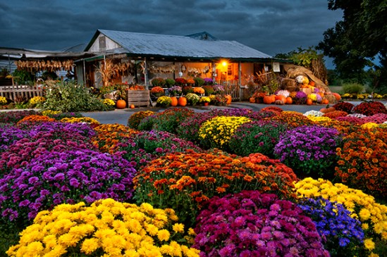 bowmansville-farmstand