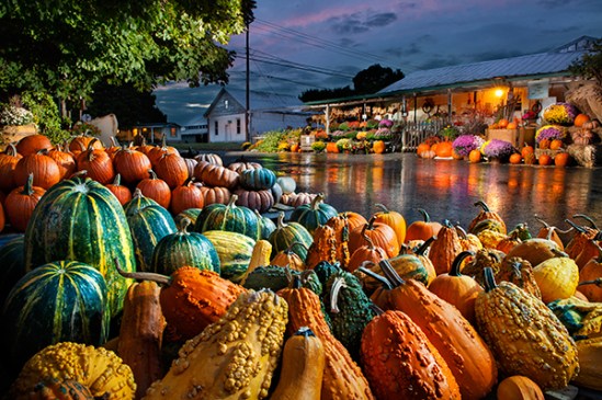 bowmansville-farmstand2-copy