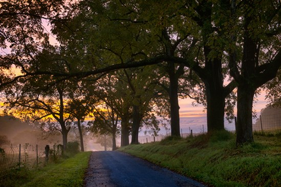 chester-apple-grove-rd