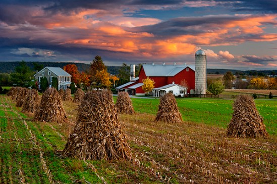 terre-hill-corn-shocks