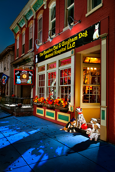 cocalico-cat-veterinarian