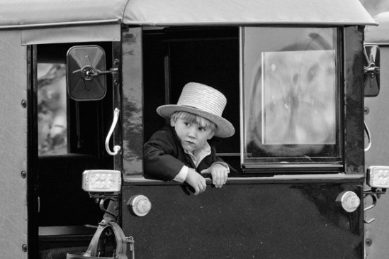 amish-boy-in-buggy