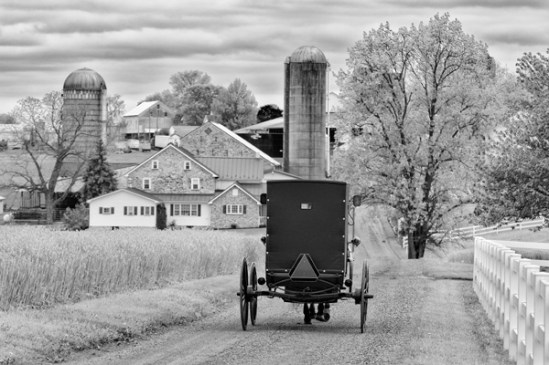farmersville-farm-lane2