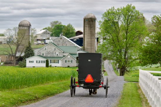 farmersville-farm-lane2a