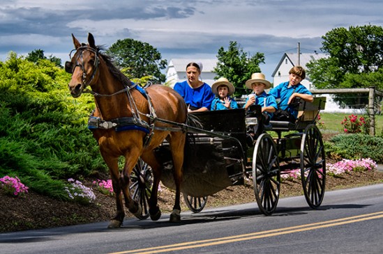 amish-blue-attire-crew