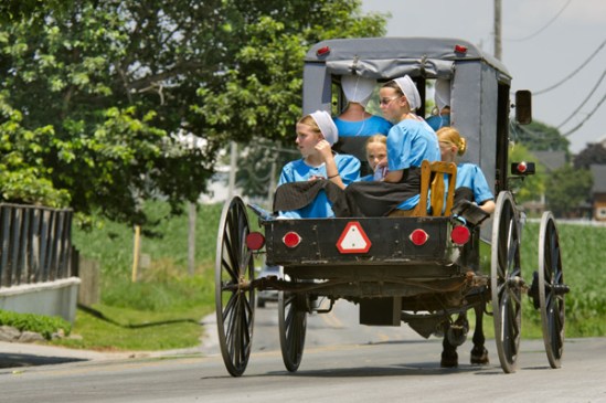 amish-buggy-chair