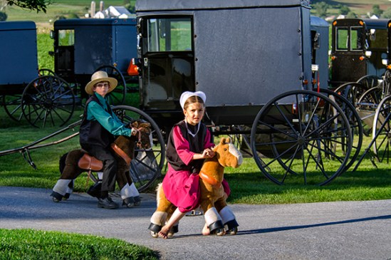 amish-kids-pony-toy