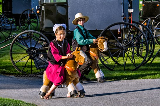 amish-kids-pony-toy2