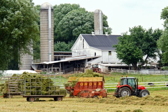 hay-harvesting