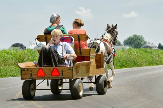 amish-limo