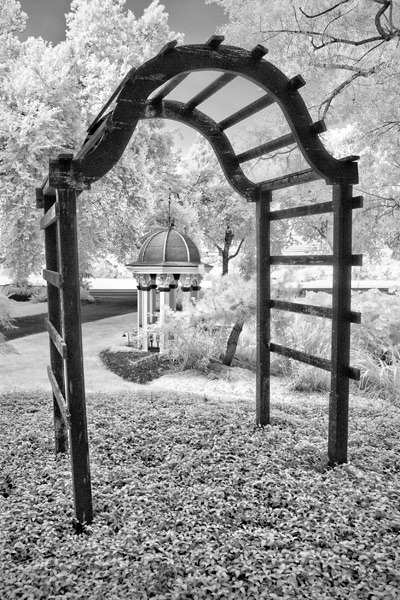 jims-landscape-infrared