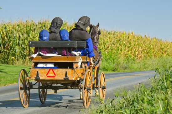 amish-special-bonnets