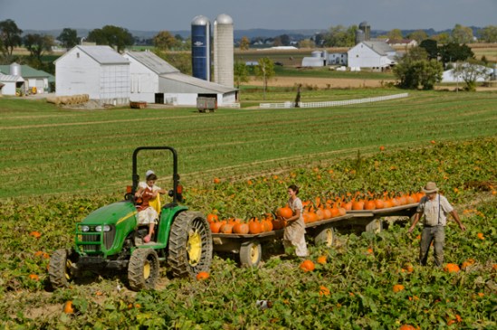 pumpkin-harvest-wagon