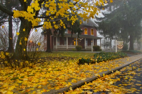 bella-vista-fall-fog