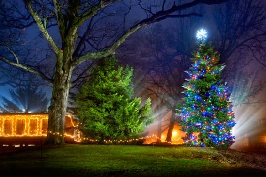 adamstown-christmas-tree