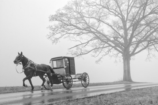 buggy-out-of-the-fog