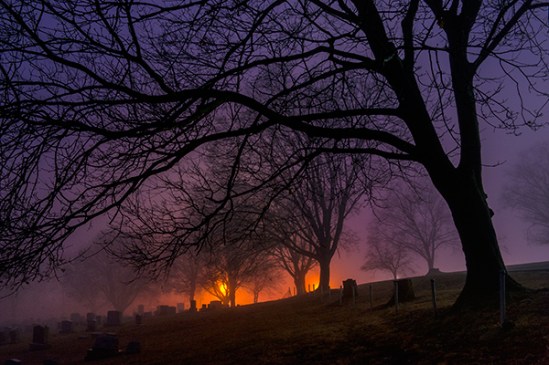bergstrasse-cemetery-fog-lights